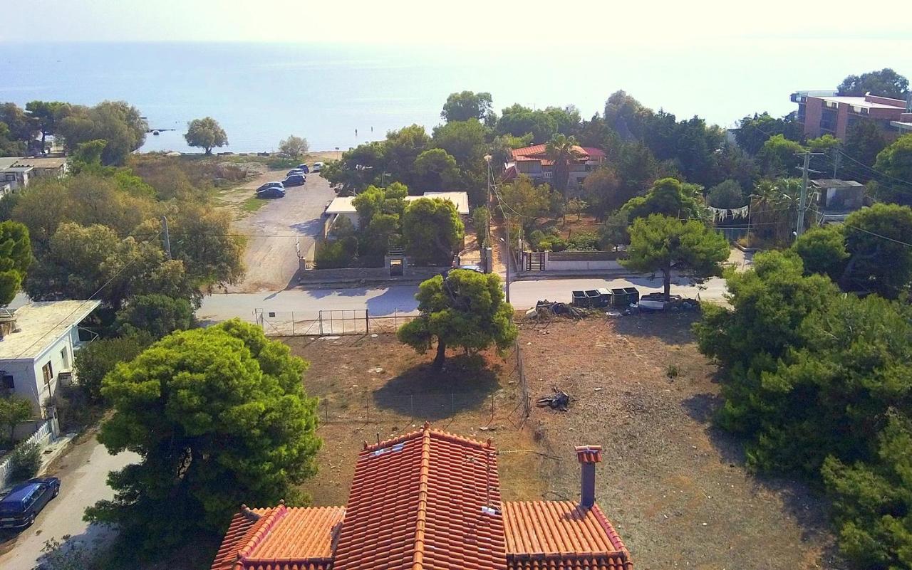 Augoustinos - Sea Side Luxury Apartments Artemida  Exterior foto